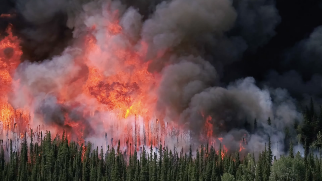 A blazing wildfire